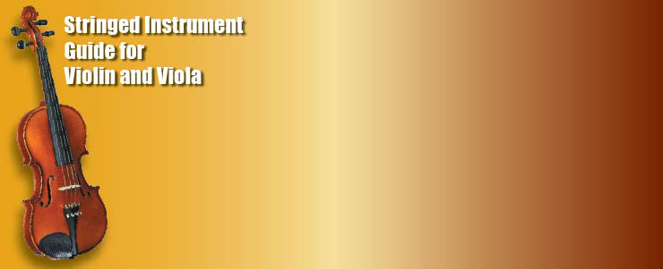 Stringed Instrument Measurement Guide