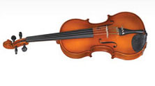 Viola