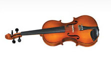 Violin