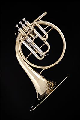 Cleaning Your Horn