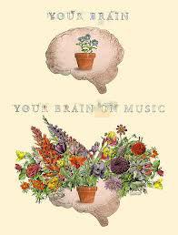 Fine-Tuning the Brain
